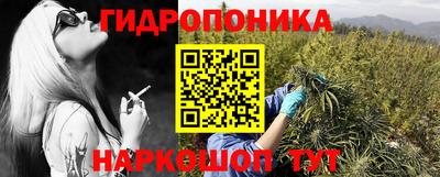 прущие грибы Балахна