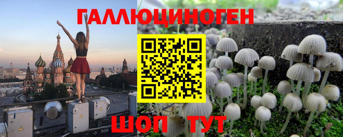 Елизово  Галлюциногенные грибы прущие грибы  Вход с VPN 
